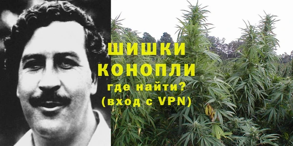 крисы Карталы