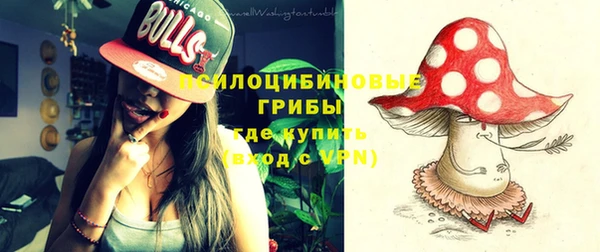 крисы Карталы