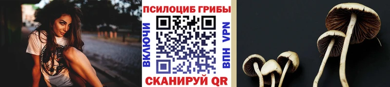 Купить где  Нововоронеж  Галлюциногенные грибы GOLDEN TEACHER 